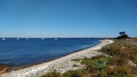 Accès à l&rsquo;île Dumet interdit du 15 mars au 15 juillet 2023