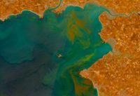 Conférence sur le phytoplancton et son impact sur l&rsquo;environnement, salle Meniscoul le samedi 26juillet à 18h00