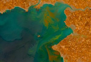 Lire la suite à propos de l’article Conférence sur le phytoplancton et son impact sur l’environnement, salle Meniscoul le samedi 26juillet à 18h00