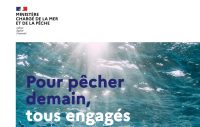 Précisions sur l&rsquo;enregistrement des captures d&rsquo;espèces sensibles de poissons à partir du 10 janvier 2026