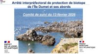 Arrêté interpréfectoral de protection de biotope de l’Île Dumet et ses abords – Présentation du Comité de suivi du 13 février 2026